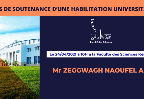 Avis de soutenance d’une habilitation universitaire (Mr ZEGGWAGH NAOUFEL ALI)