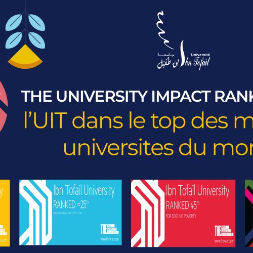 L’UIT DANS LE TOP DES MEILLEURS UNIVERSITES DU MONDE SELON LE CLASSEMENT « THE UNIVERSITY IMPACT RANKINGS 2021 »