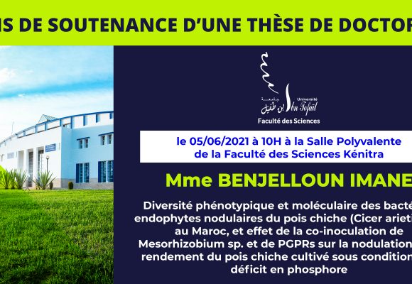 Avis de soutenance d’une thèse de doctorat (Mme BENJELLOUN IMANE)