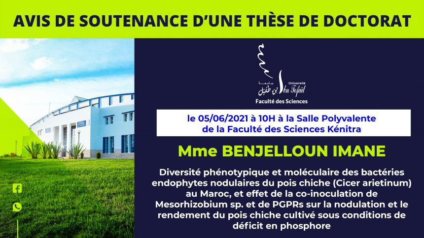 Avis de soutenance d’une thèse de doctorat (Mme BENJELLOUN IMANE)