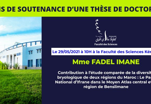 Avis de soutenance d’une thèse de doctorat (Mme FADEL IMANE)