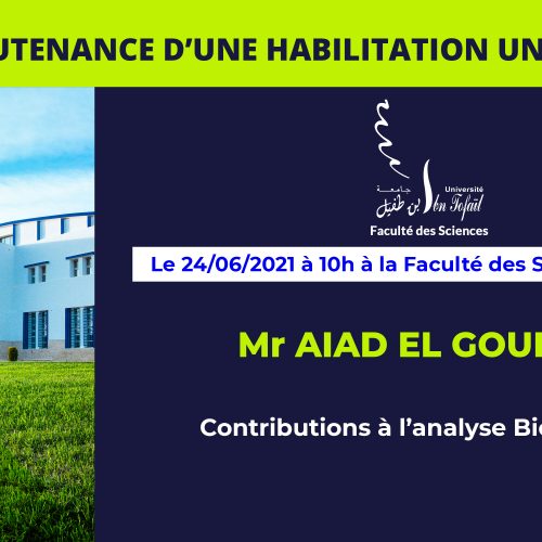 Avis de soutenance d’une habilitation universitaire (Mr AIAD EL GOURARI)