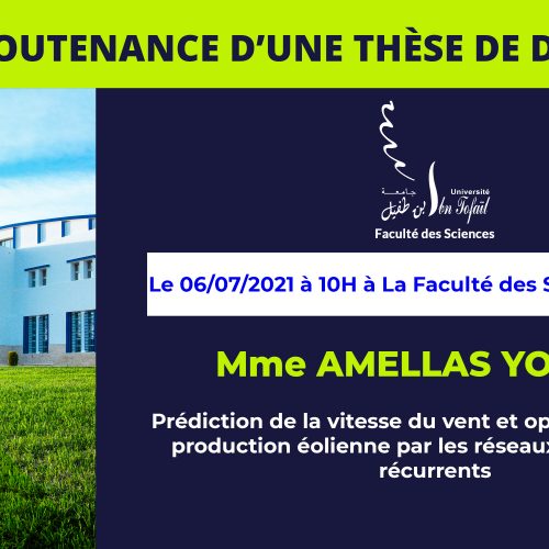 Avis de soutenance d’une thèse de doctorat (Mme AMELLAS YOUSRA)