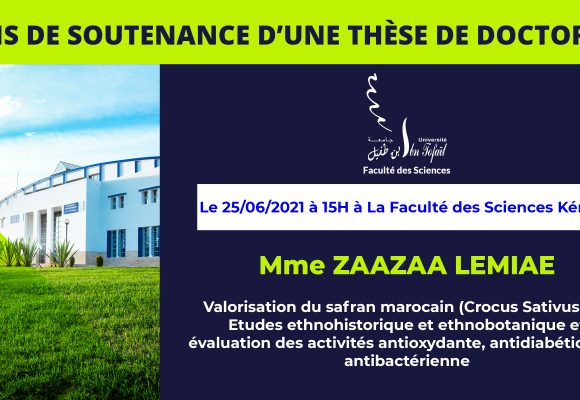 Avis de soutenance d’une thèse de doctorat (Mme ZAAZAA LEMIAE)