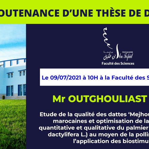 Avis de soutenance d’une thèse de doctorat (Mr OUTGHOULIAST HAKIM)