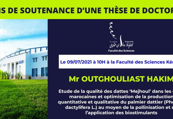 Avis de soutenance d’une thèse de doctorat (Mr OUTGHOULIAST HAKIM)