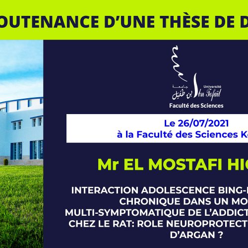 Avis de soutenance d’une thèse de doctorat (EL MOSTAFI HICHAM)