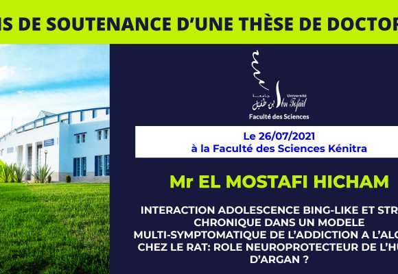Avis de soutenance d’une thèse de doctorat (EL MOSTAFI HICHAM)