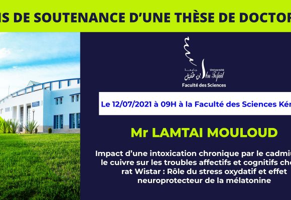 Avis de soutenance d’une thèse de doctorat (Mr LAMTAI MOULOUD)