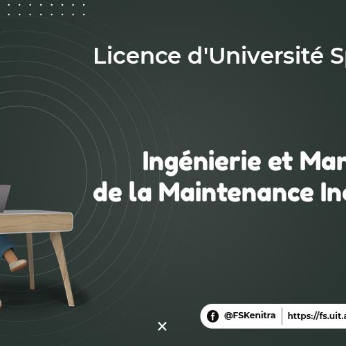 Ingénierie et Management de la Maintenance Industrielle