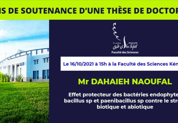 Avis de soutenance d’une thèse de doctorat (Mr DAHAIEH NAOUFAL)