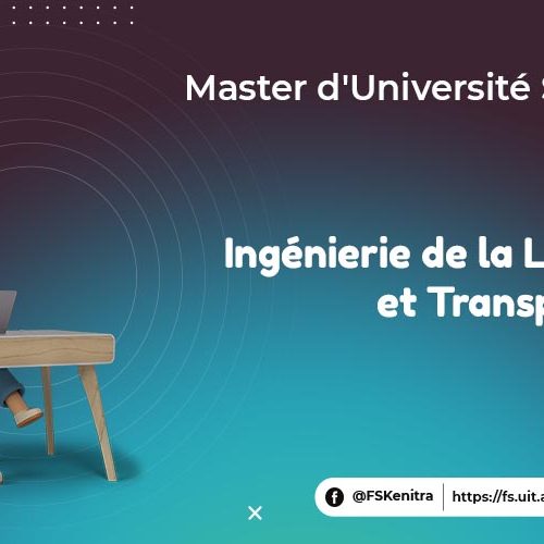 Ingénierie de la Logistique et Transport (ILT)