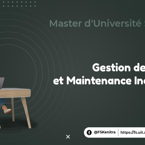 Gestion des Risques et Maintenance Industrielle