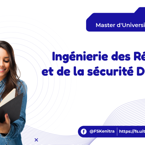 Ingénierie des Réseaux et de la sécurité Digitale
