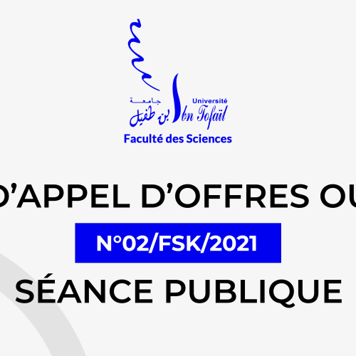 Avis d’appel d’offres ouvert N°02/FSK/2021 Séance publique