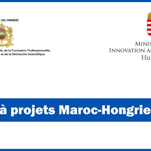 Appel à projets Maroc-Hongrie 2021