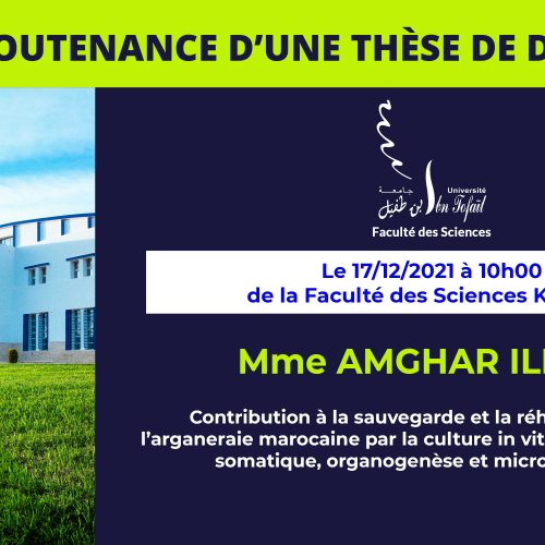 Avis de soutenance d’une thèse de doctorat (Mme AMGHAR ILHAM)