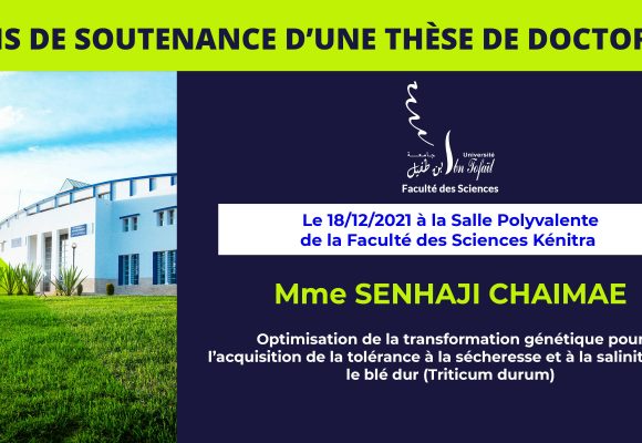 Avis de soutenance d’une thèse de doctorat (Mme SENHAJI CHAIMAE)