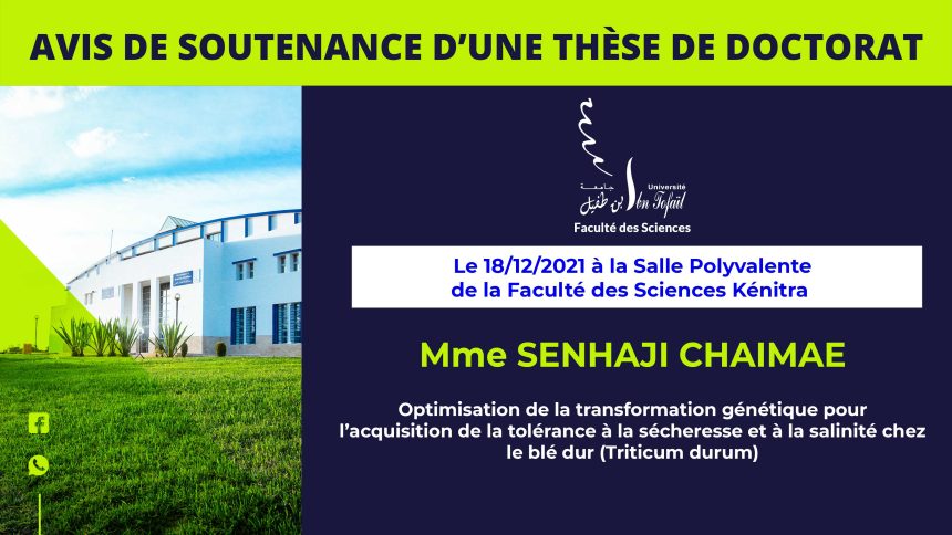 Avis de soutenance d’une thèse de doctorat (Mme SENHAJI CHAIMAE)
