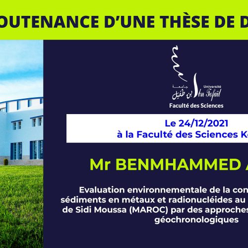 Avis de soutenance d’une thèse de doctorat (Mr BENMHAMMED AYOUB)