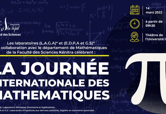 La Journée Internationale des Mathématiques