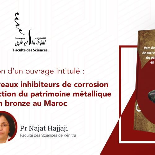 Parution d’un ouvrage intitulé :  Vers de nouveaux inhibiteurs de corrosion pour la protection du patrimoine métallique en bronze au Maroc du Professeur Najat Hajjaji