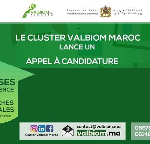 Appel à candidature pour l’attribution des bourses d’excellence de recherche au profit des doctorants