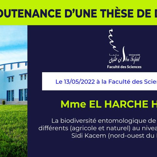 Avis de soutenance d’une thèse de doctorat (Mme EL HARCHE HANAE)