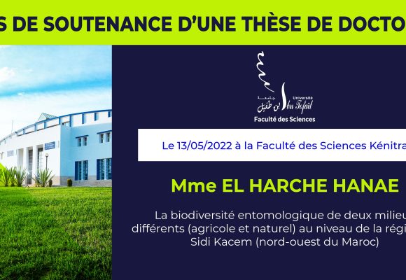 Avis de soutenance d’une thèse de doctorat (Mme EL HARCHE HANAE)