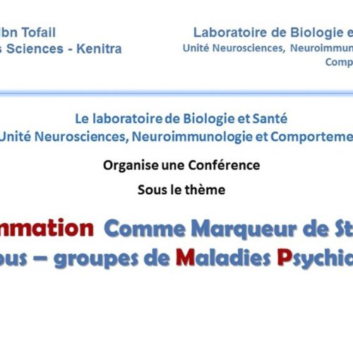 Conférence : L’inflammation Comme Marqueur de Stratification de sous-groupes de Maladies Psychiatriques