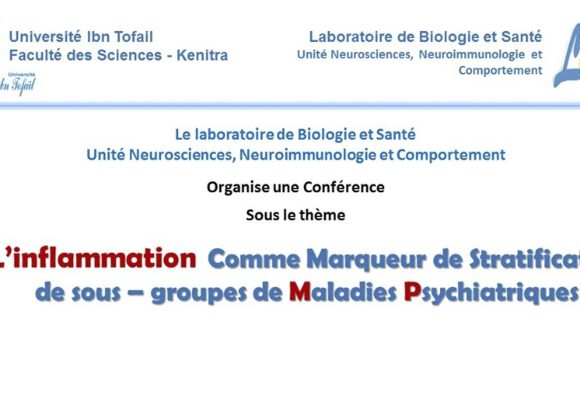 Conférence : L’inflammation Comme Marqueur de Stratification de sous-groupes de Maladies Psychiatriques