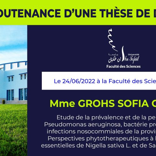 Avis de soutenance d’une thèse de doctorat (Mme GROHS SOFIA GHIZLAN)