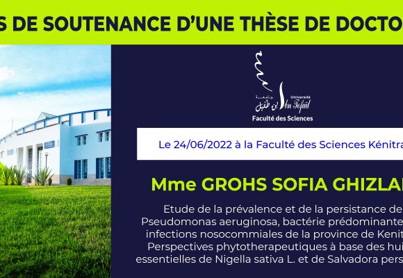 Avis de soutenance d’une thèse de doctorat (Mme GROHS SOFIA GHIZLAN)