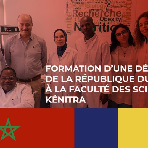 Formation d’une délégation de la République du TCHAD à la Faculté des Sciences de Kénitra