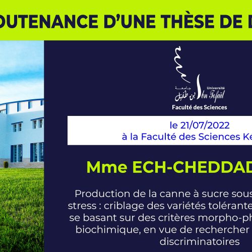 Avis de soutenance d’une thèse de doctorat (Mme ECH-CHEDDADI SARA)