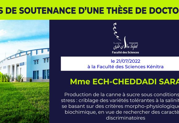Avis de soutenance d’une thèse de doctorat (Mme ECH-CHEDDADI SARA)