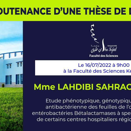 Avis de soutenance d’une thèse de doctorat (Mme LAHDIBI SAHRAOUI HAJAR)