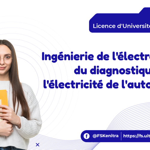 Ingénierie de l’électronique, du diagnostique et de l’électricité de l’automobile