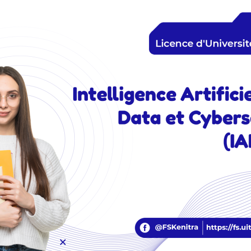 Intelligence Artificielle, Big Data et Cybersécurité (IABDCyS)