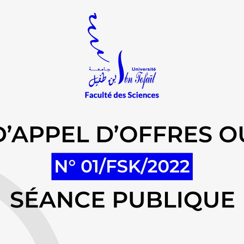 Avis d’appel d’offres ouvert N°01/FSK/2022 Séance publique