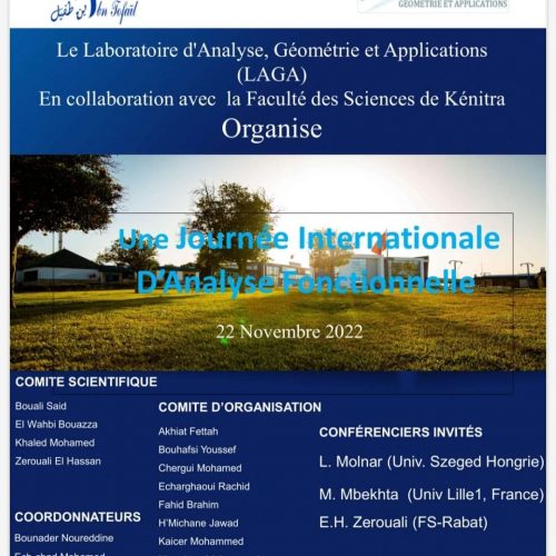 Appel à Communication – Journée Internationale d’Analyse Fonctionnelle