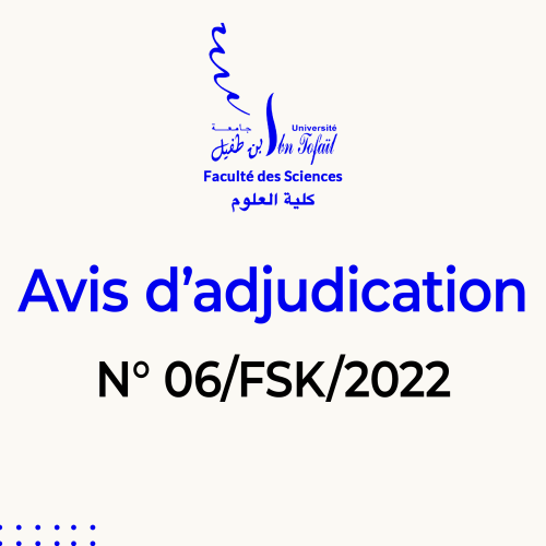 Avis d’adjudication N° 06/FSK/2022