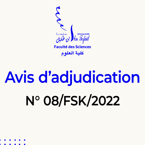 Avis d’adjudication N° 08/FSK/2022