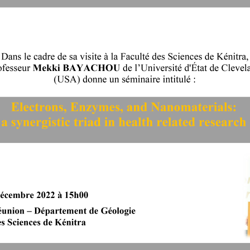 Avis de Séminaire : Electrons, Enzymes, and Nanomaterials: a synergistic triad in health related research