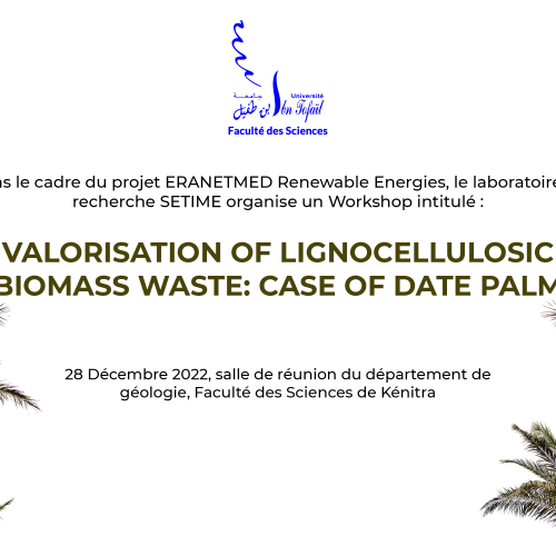 Workshop intitulé : Valorisation of lignocellulosic biomass waste: Case of date palm