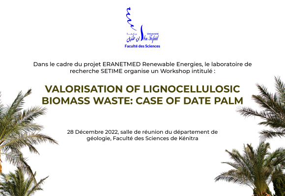 Workshop intitulé : Valorisation of lignocellulosic biomass waste: Case of date palm