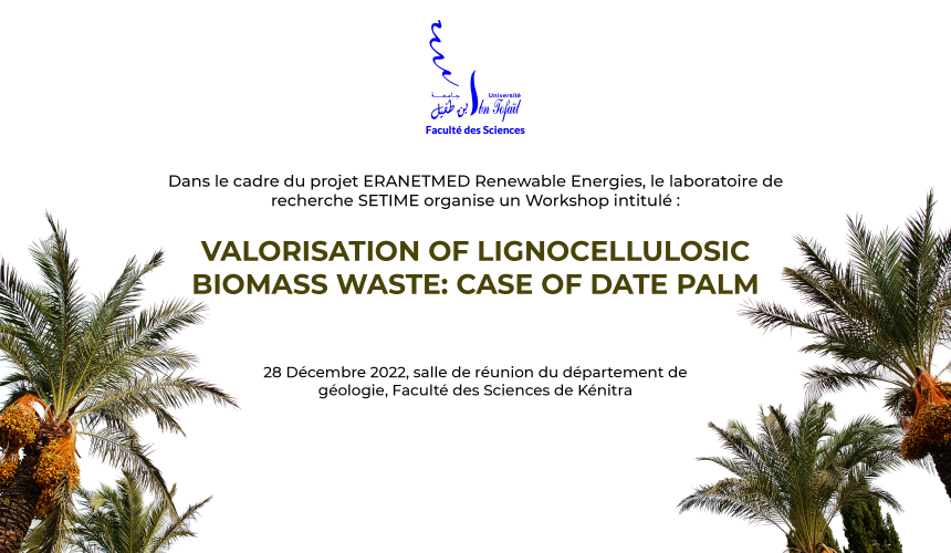 Workshop intitulé : Valorisation of lignocellulosic biomass waste: Case of date palm