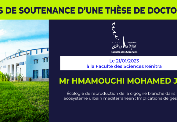 Avis de soutenance d’une thèse de doctorat (Mr HMAMOUCHI MOHAMED JAD)