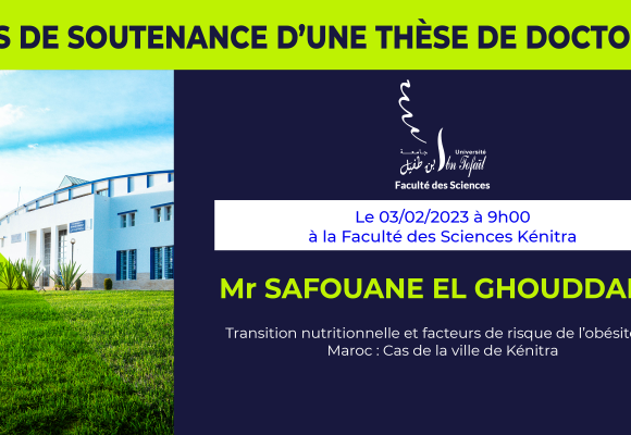 Avis de soutenance d’une thèse de doctorat (Mr SAFOUANE EL GHOUDDANY)