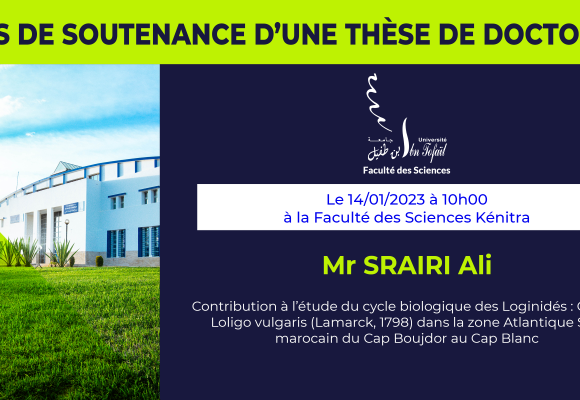 Avis de soutenance d’une thèse de doctorat (Mr SRAIRI Ali)